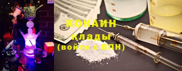 хмурый Няндома