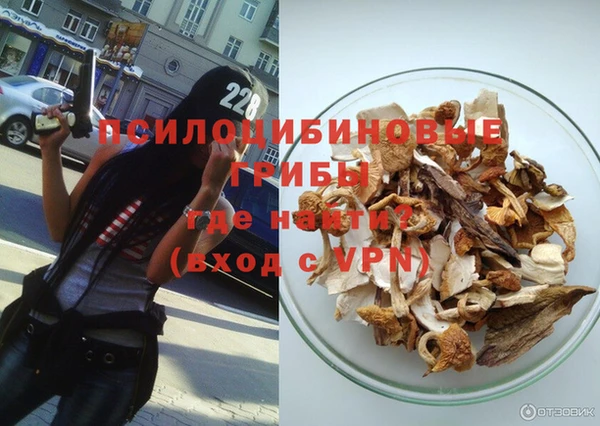 spice Алексин