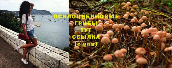 бутират Алзамай