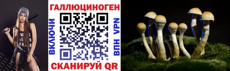 ссылка на мегу зеркало сколько стоит Оленегорск Галлюциногенные грибы мухоморы